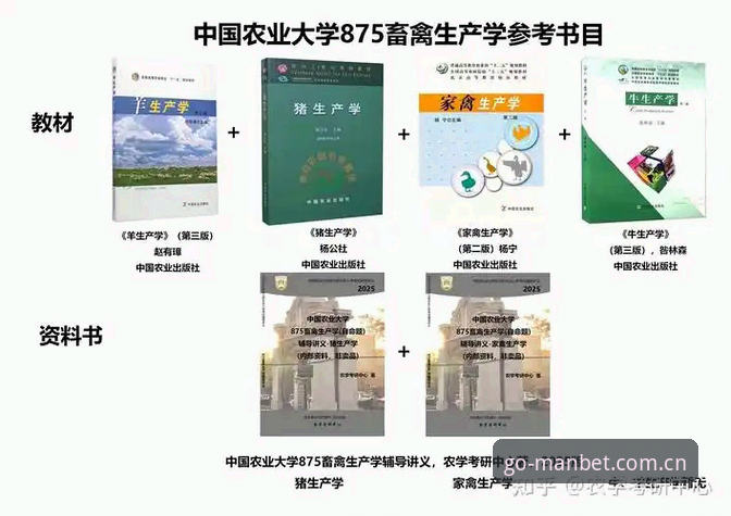 MANBET 2025新版登录入口切换逻辑深度分析：从旧版精简到V3移动端，用户该如何选？